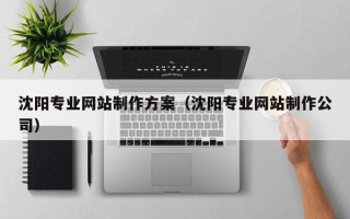 东海沈阳专业网站制作方案（沈阳专业网站制作公司）